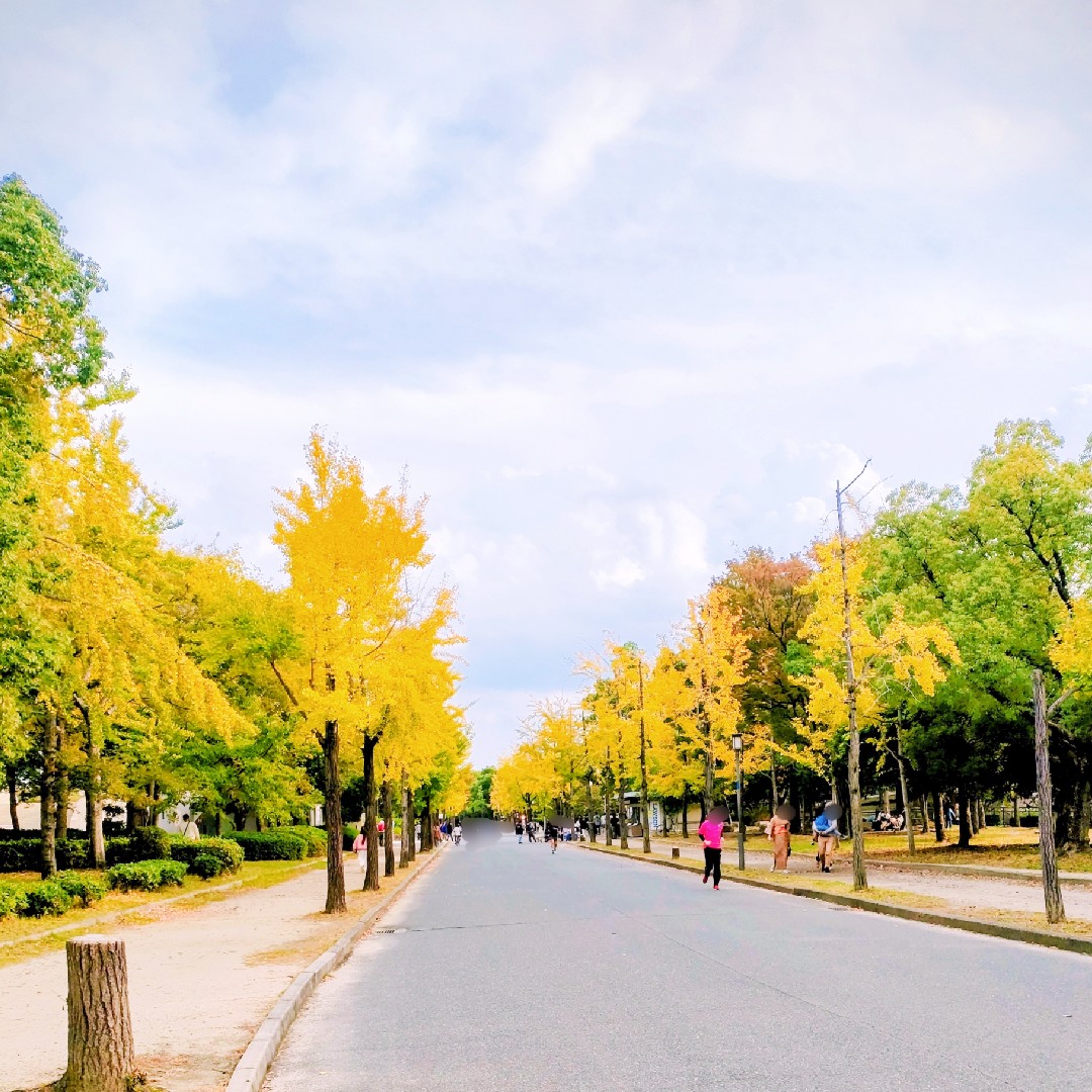 🍁🍂秋の紅葉🍁🍁を満喫しましょう！