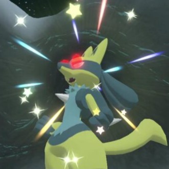 【11月】捕まえた色違いオヤブン報告会