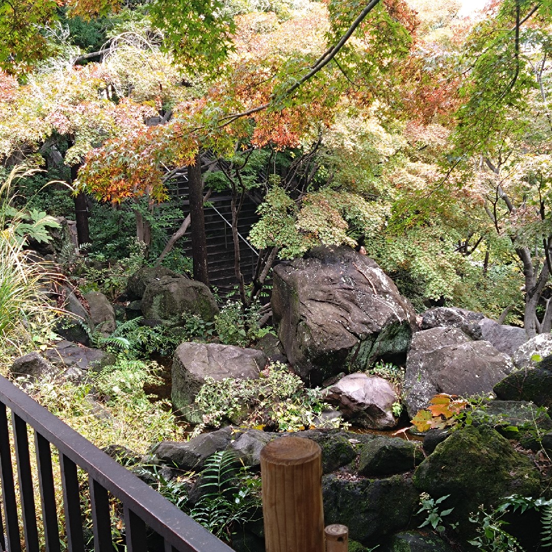 題詠：秋の深さを