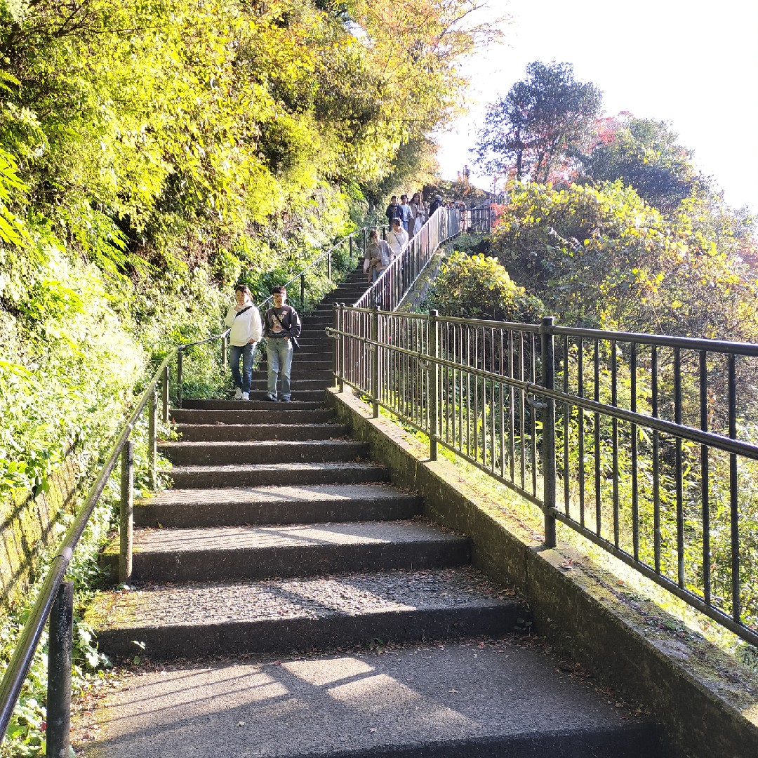秋のカラフル階段祭り