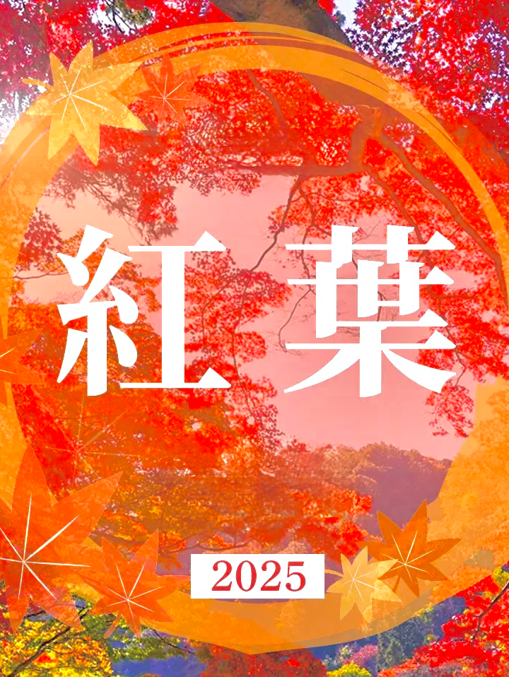 紅葉🍁