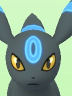 あなたの最高ランクを教えて