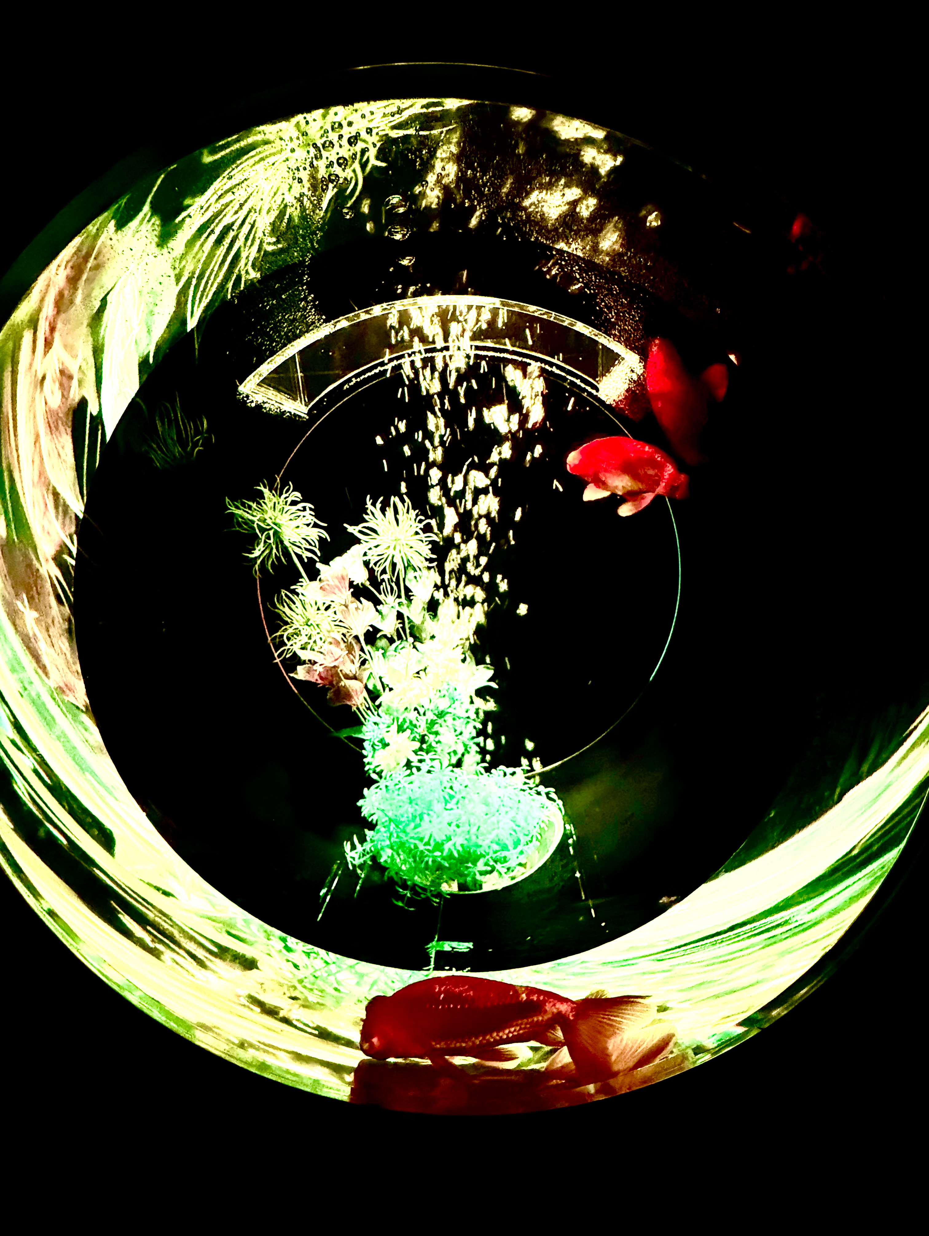 感動メモリアル