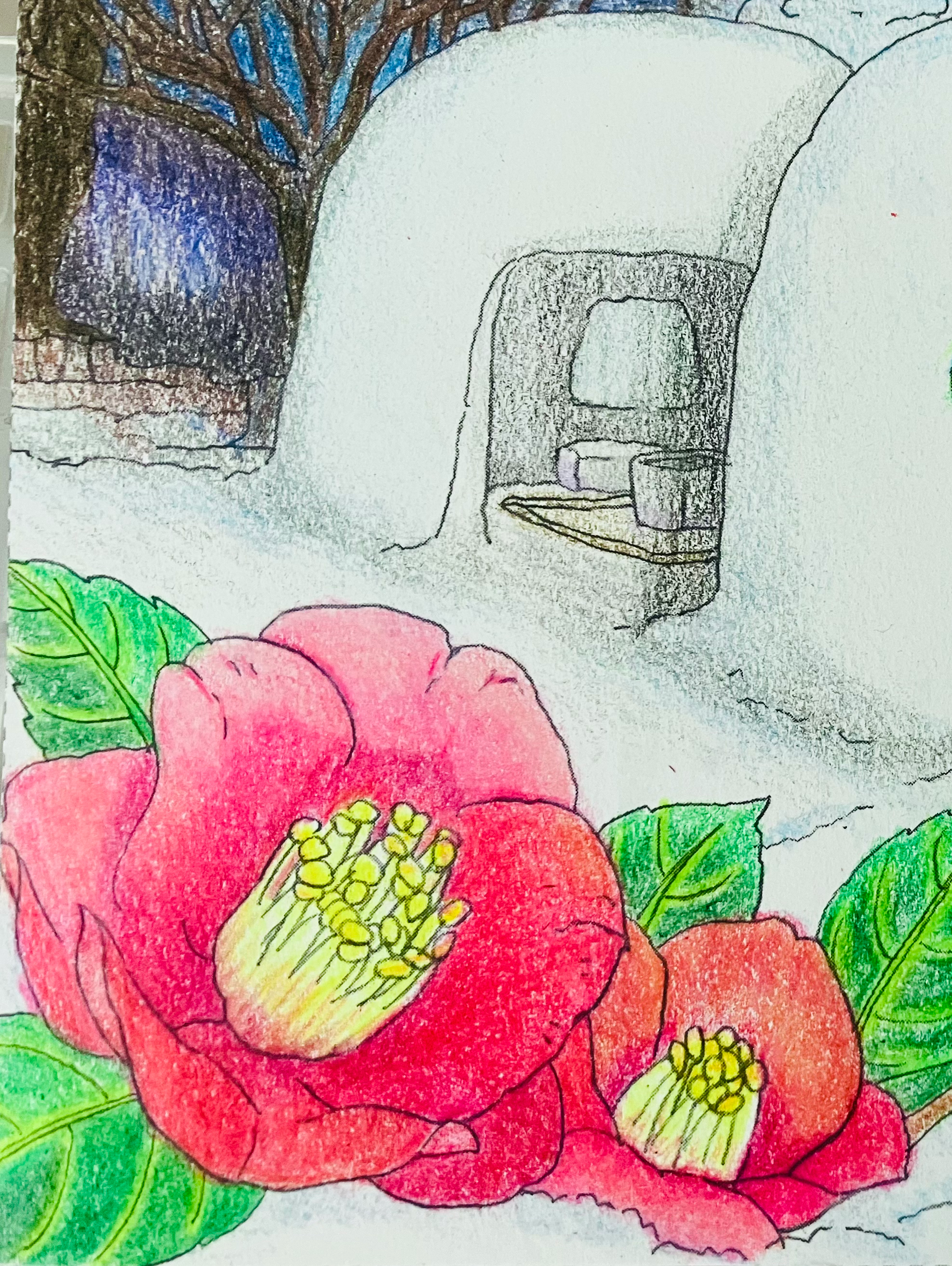 ❄️⛄️みんなで楽しむ冬色塗り絵🎄🎍❄️