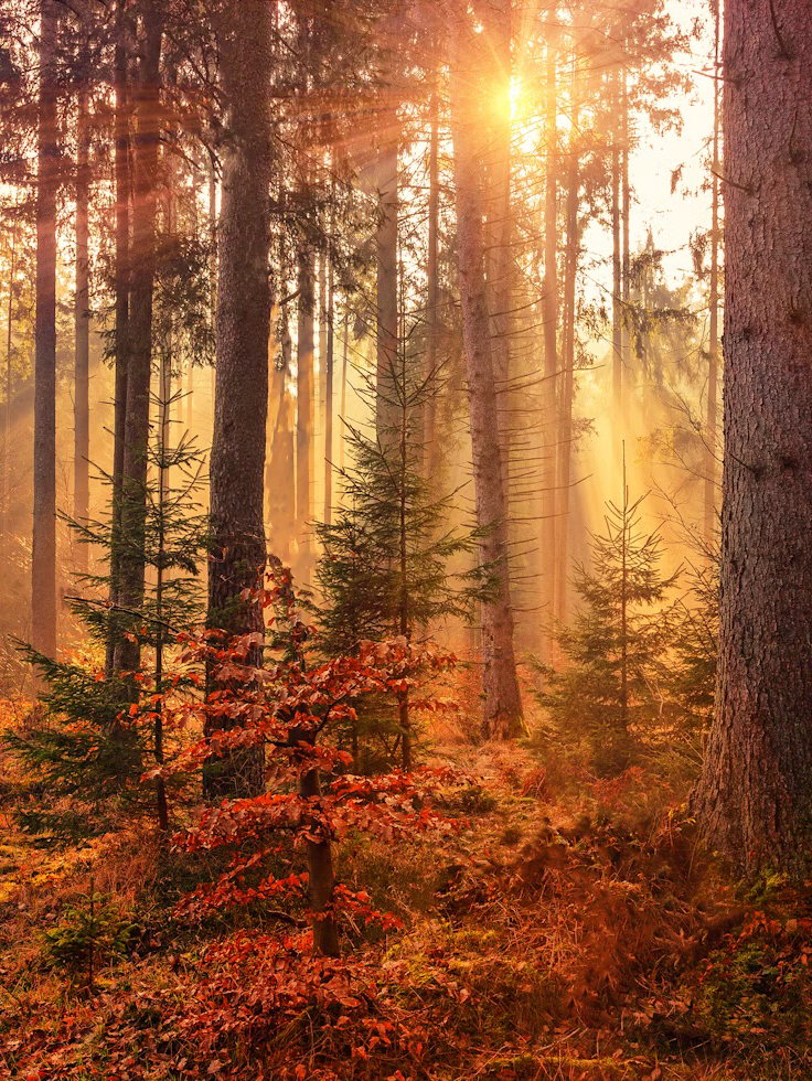 第2回/あなたのベストショット・名ショットが見たい！