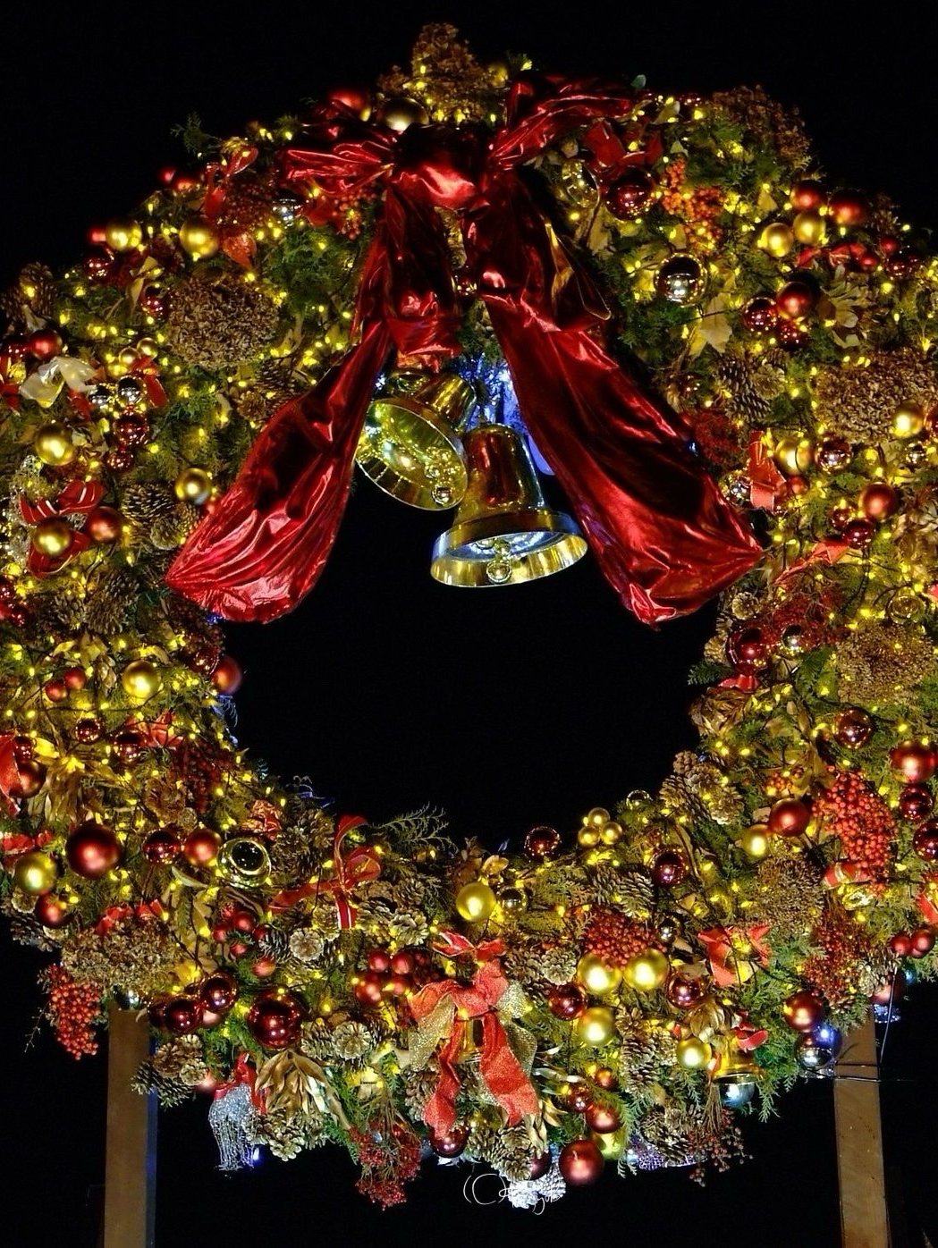 年末をまったり撮影ライフ📷