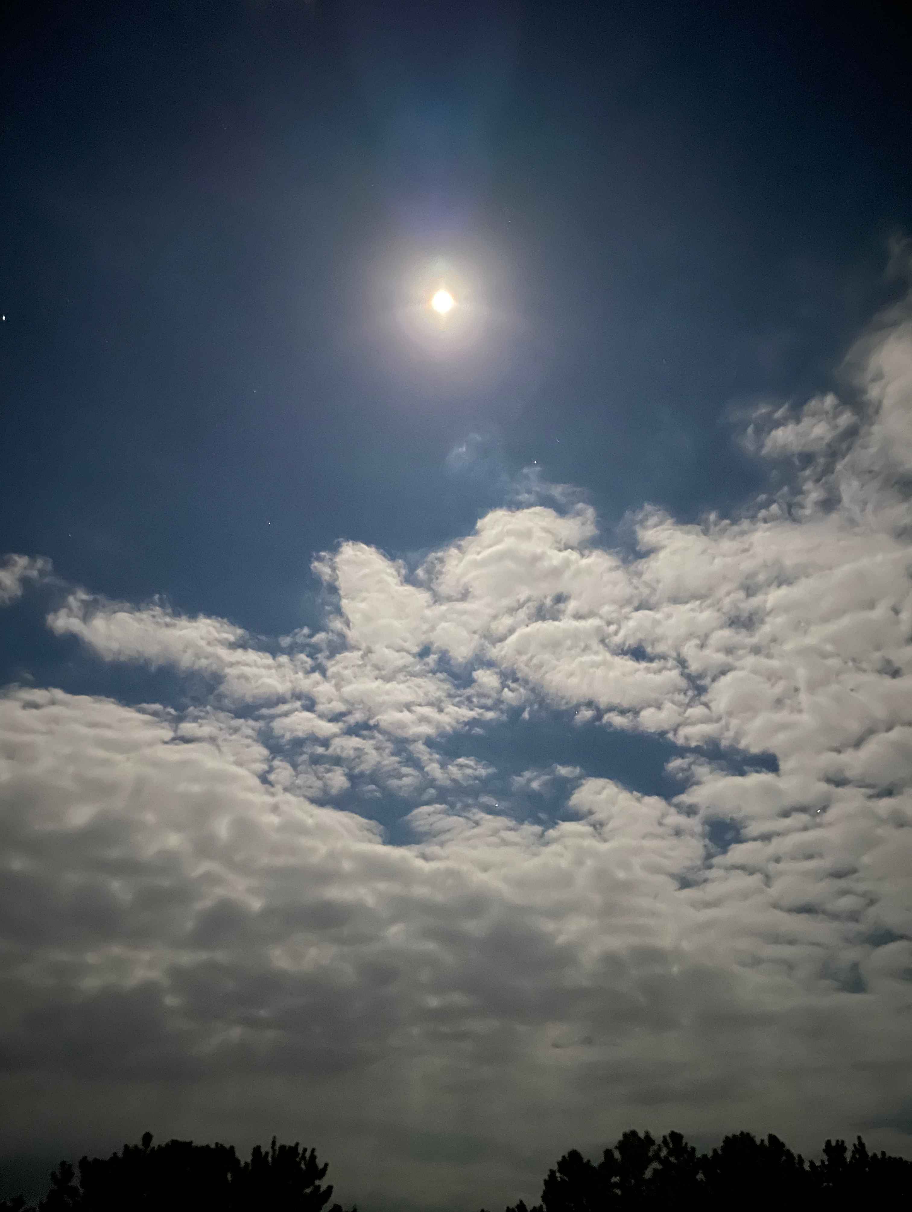 12月5日は満月🌕