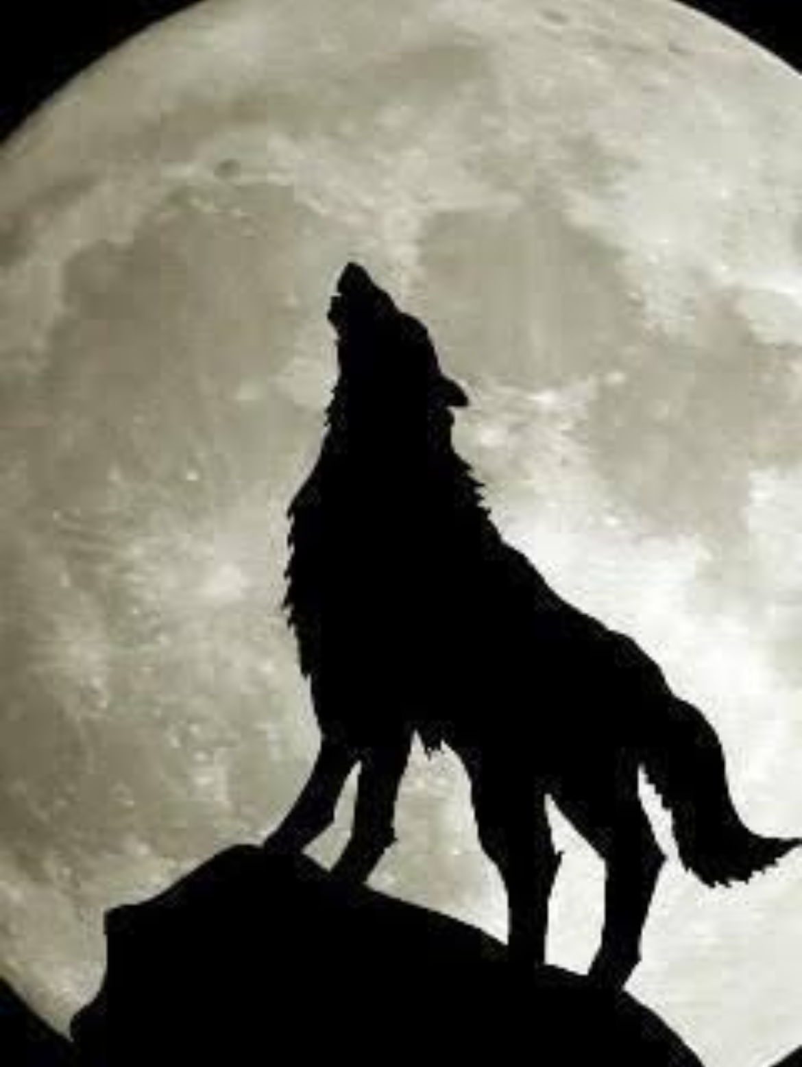 畏怖の襲来 ～己を脅かすもの～