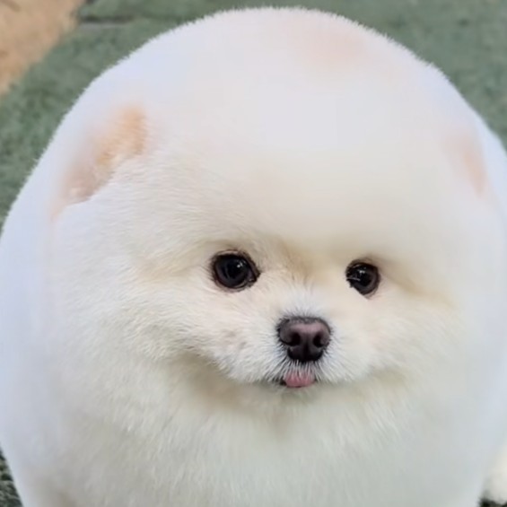 何考えてるか知りたい