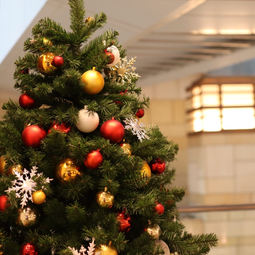 12月祭り🏮✨️🪭✨️🏮