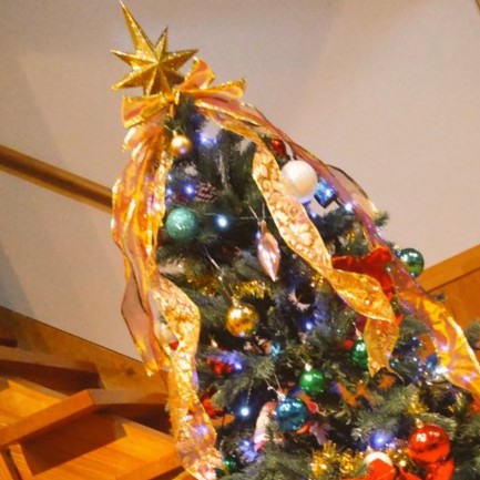 たのちい冬時間🎄🔔☃