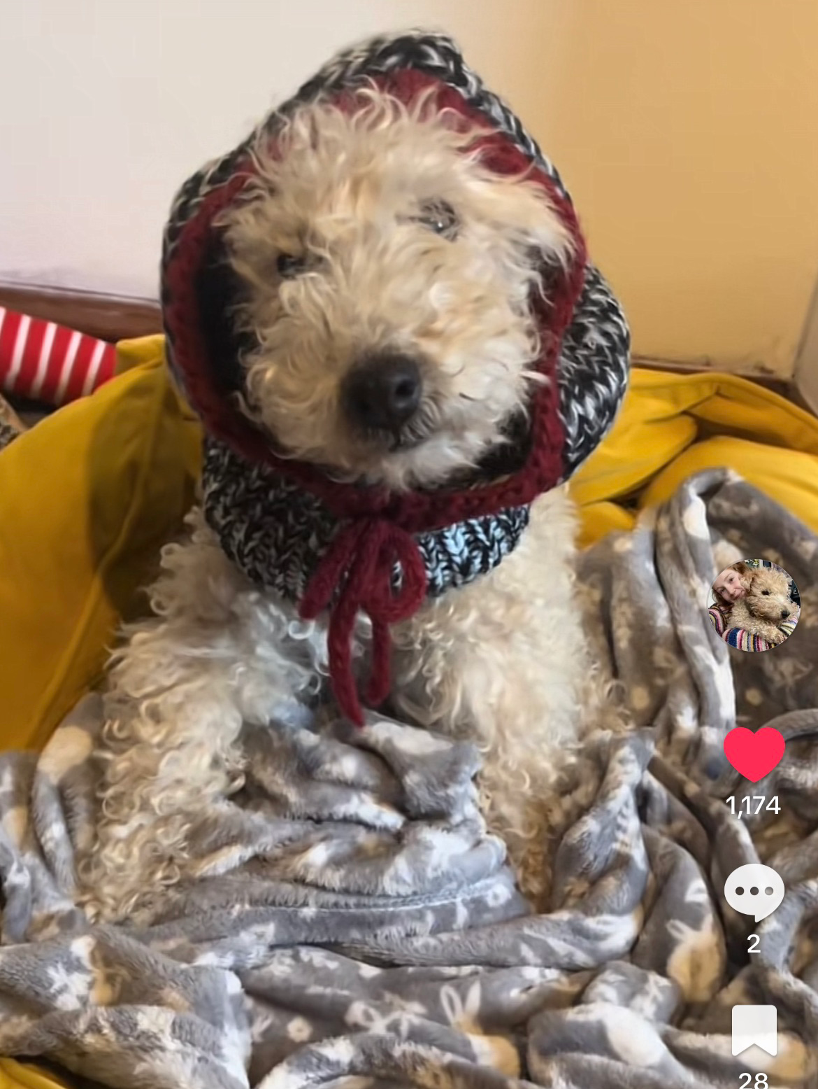 第一回激鬱短歌歌会