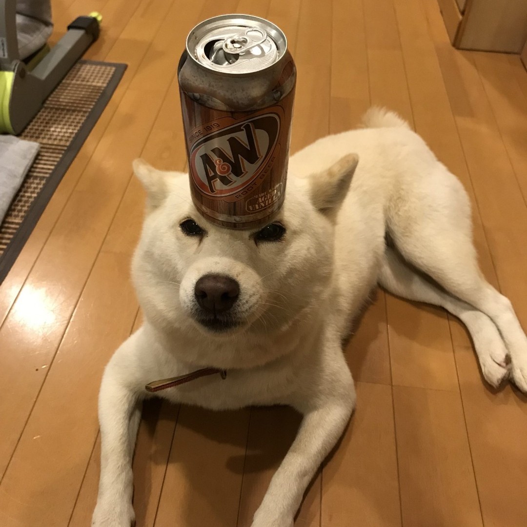 写真でひと言お願いします