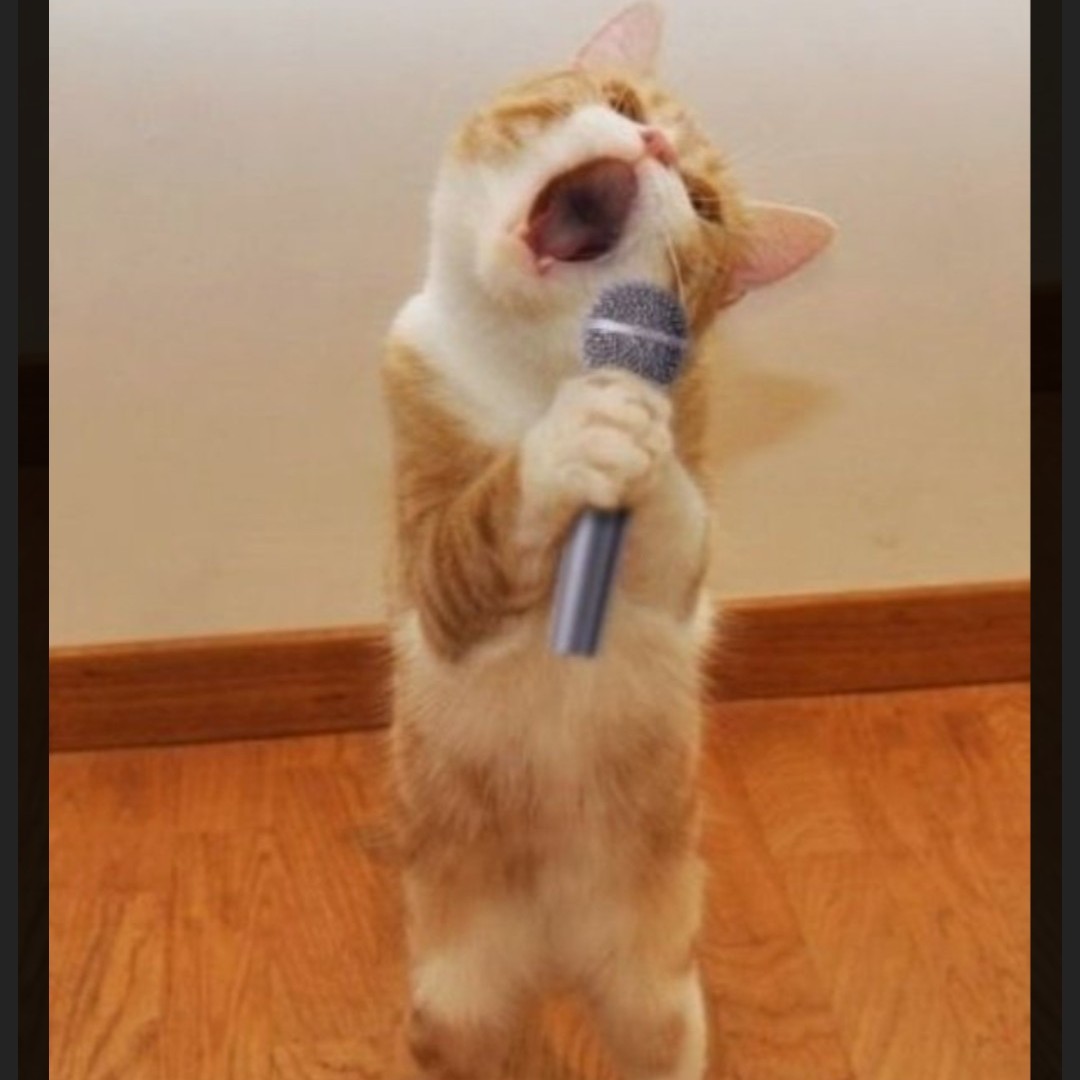 1日限定！写真でひと言