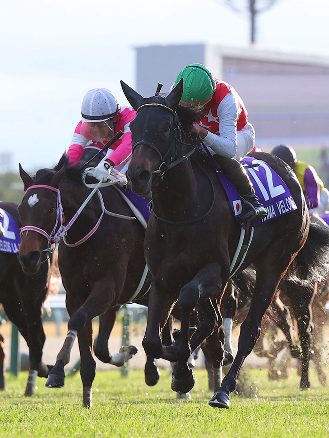 第一回ワイドチャンピョン決定戦！阪神ジュベナイルＦ