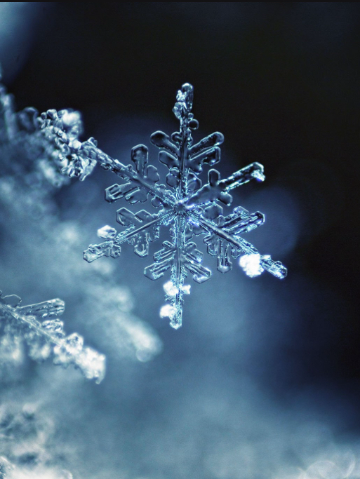 冬本番の食養生～寒い季節をのりきる食養生～