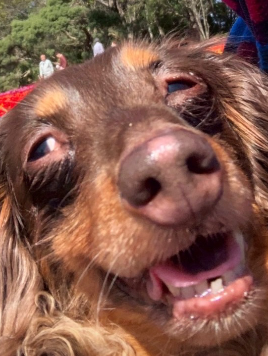 奇跡の一枚〜ぶちゃいくも愛おしい〜