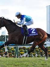 第一回ワイドチャンピオン決定戦！朝日杯ＦＳ編