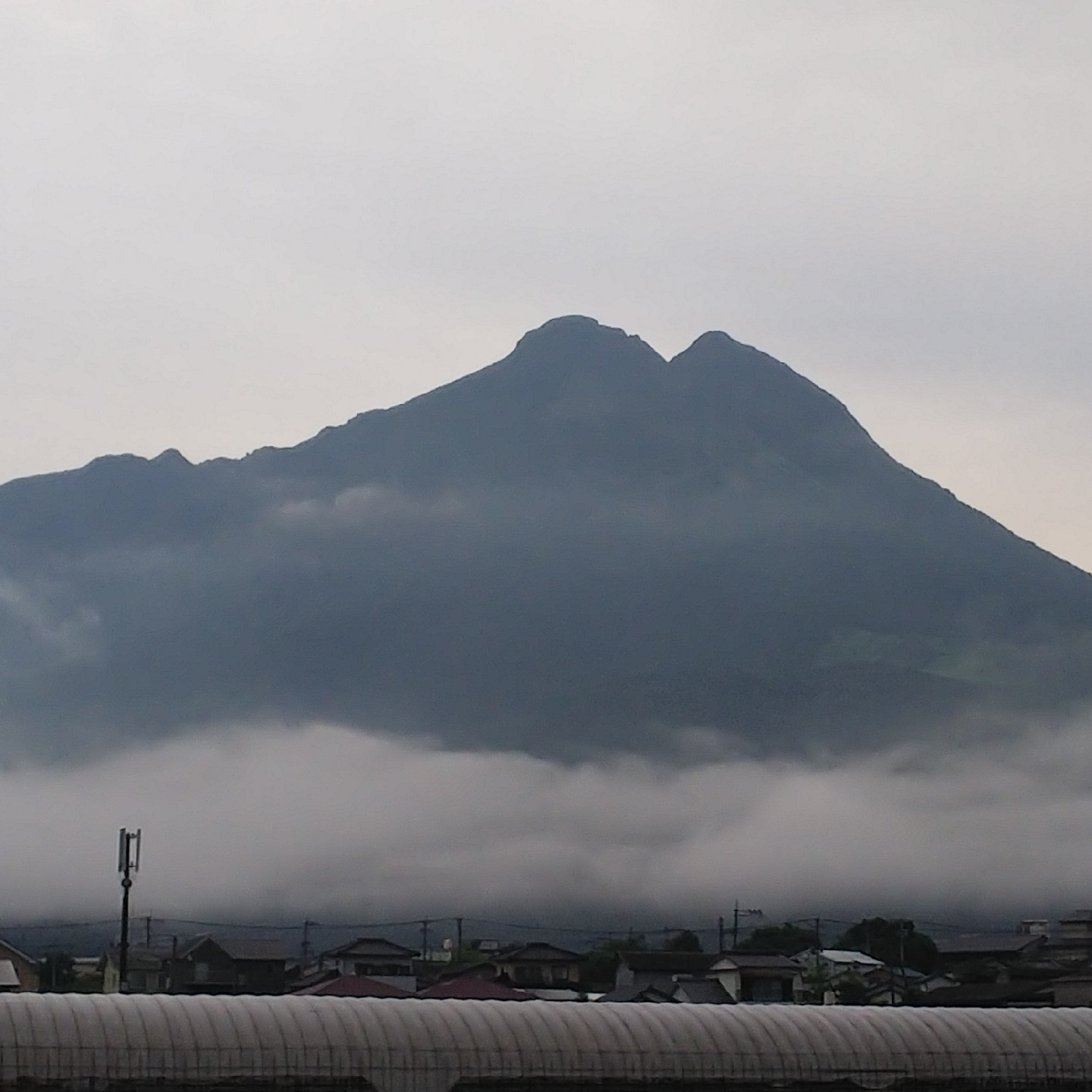 ダンス得意人ー