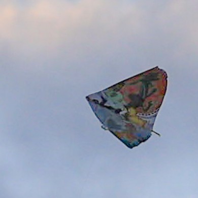 祭り-1月-🏮✨️🪭✨️🏮