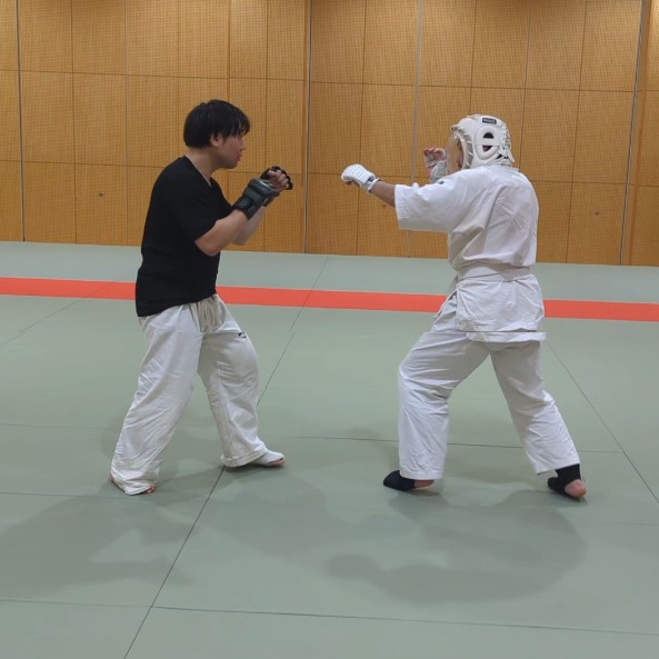 東京23区内徒手武道オフ会練習