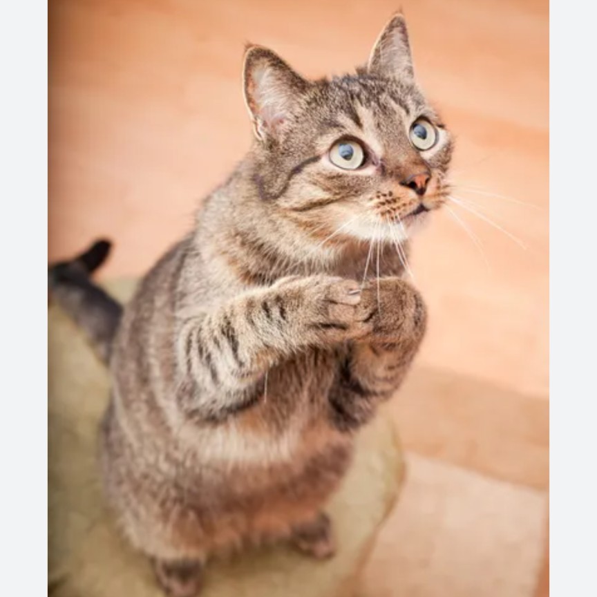 写真でひとこと