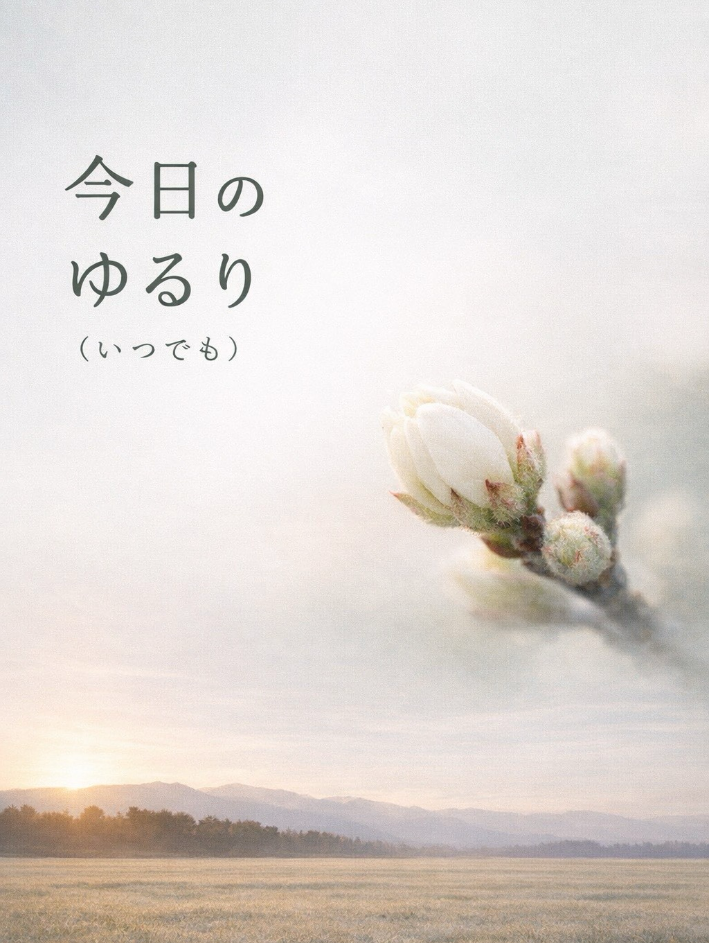 🌿 今日のゆるり（いつでも）