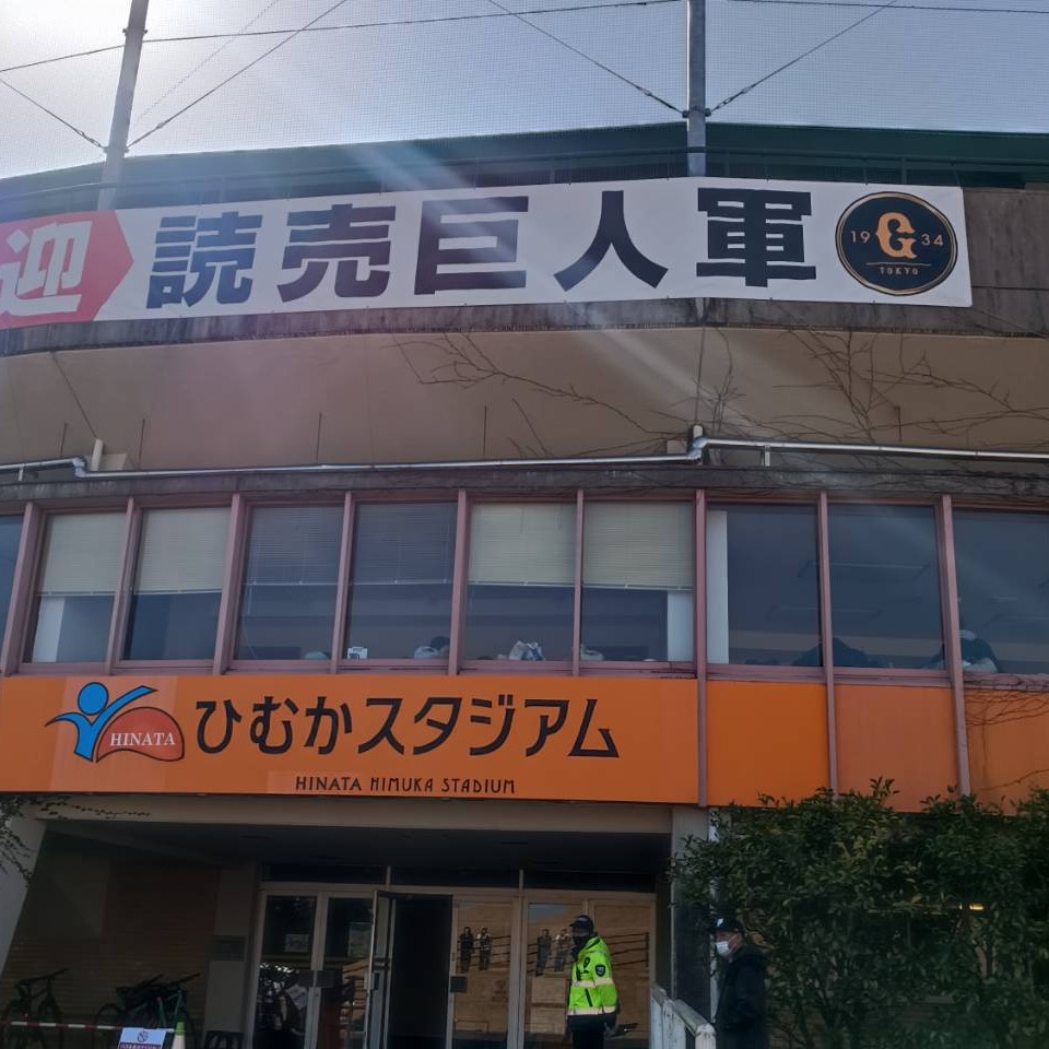 2026年春キャンプ 生え抜き選手部門伸びた選手予想