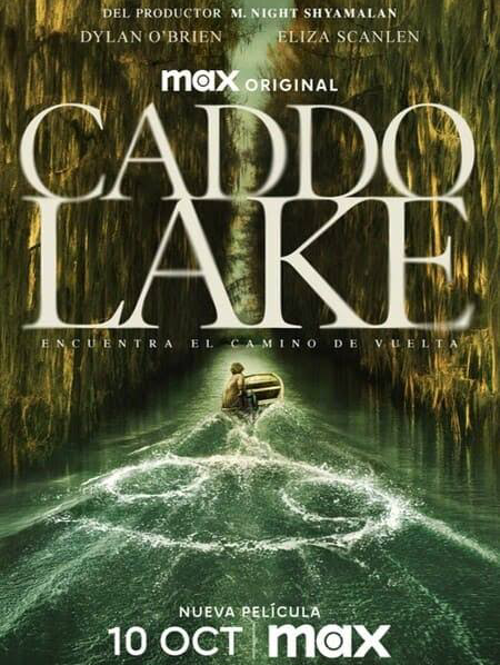 『おすすめのサブスク作品！』①