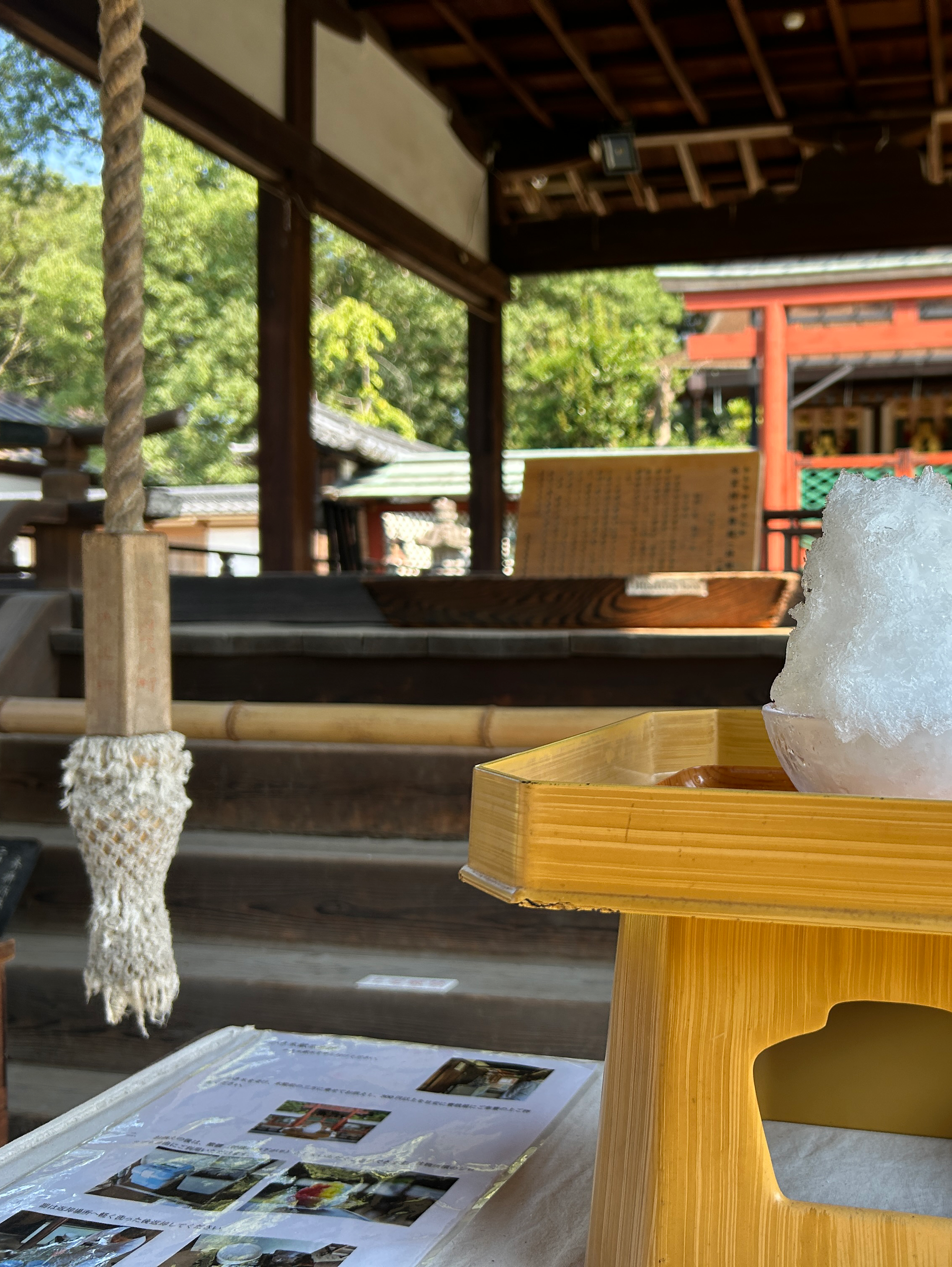 ひむろしらゆき祭参戦