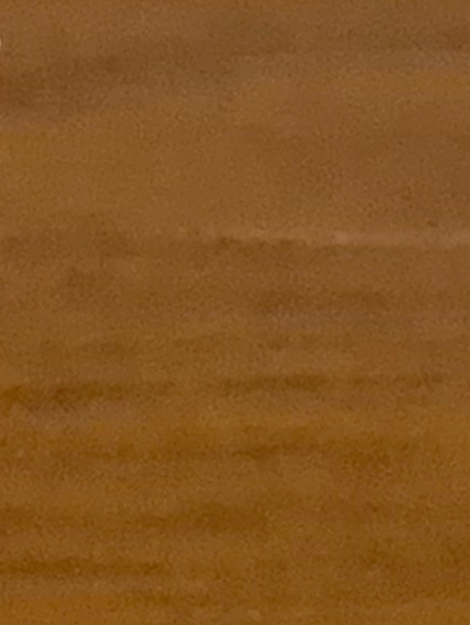 たのしいたのしい