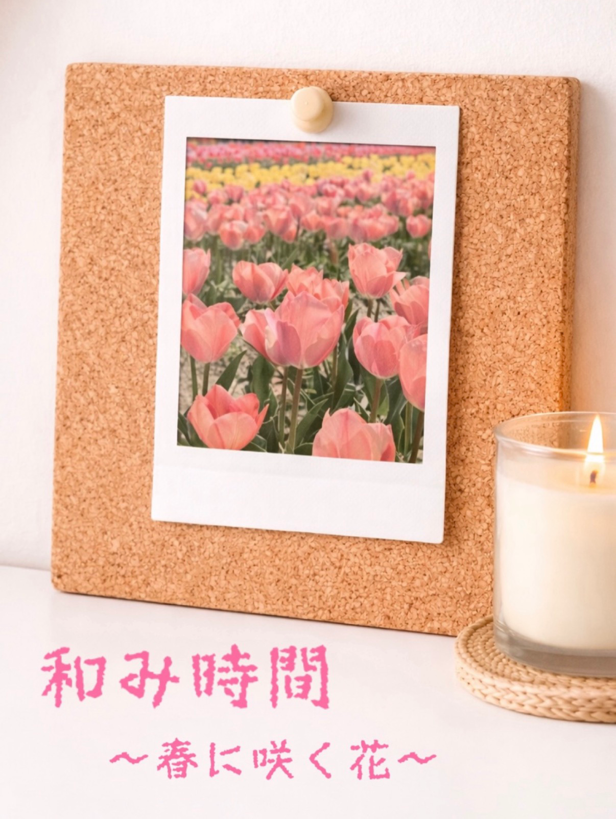 🌸 和み時間 〜 春に咲く花 〜🌸