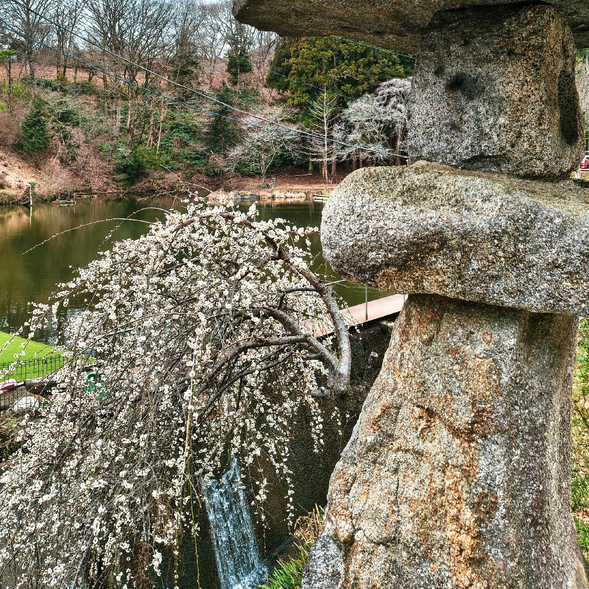 祭り-3月-🏮✨️🪭✨️🏮