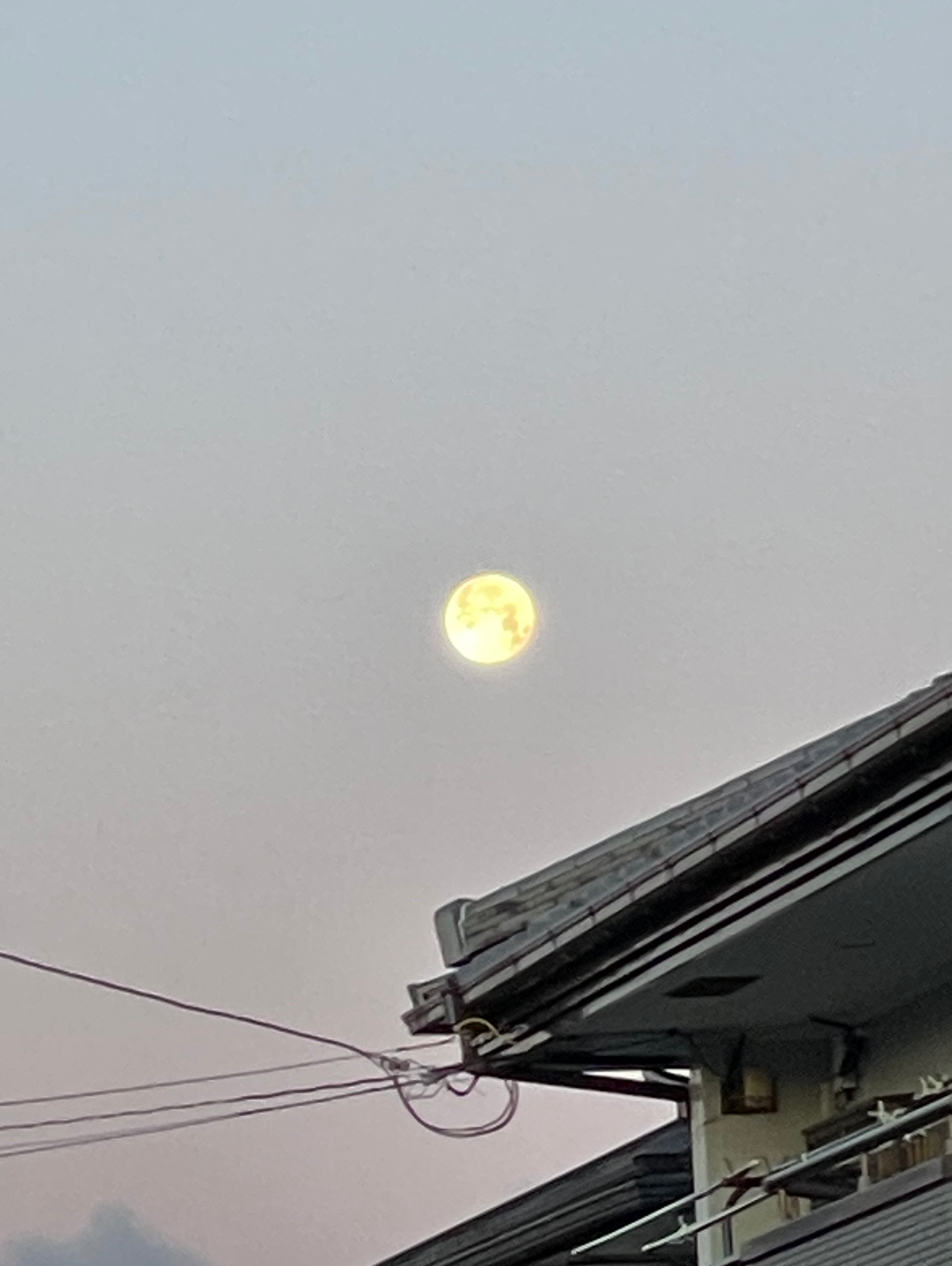 三月の満月🌕
