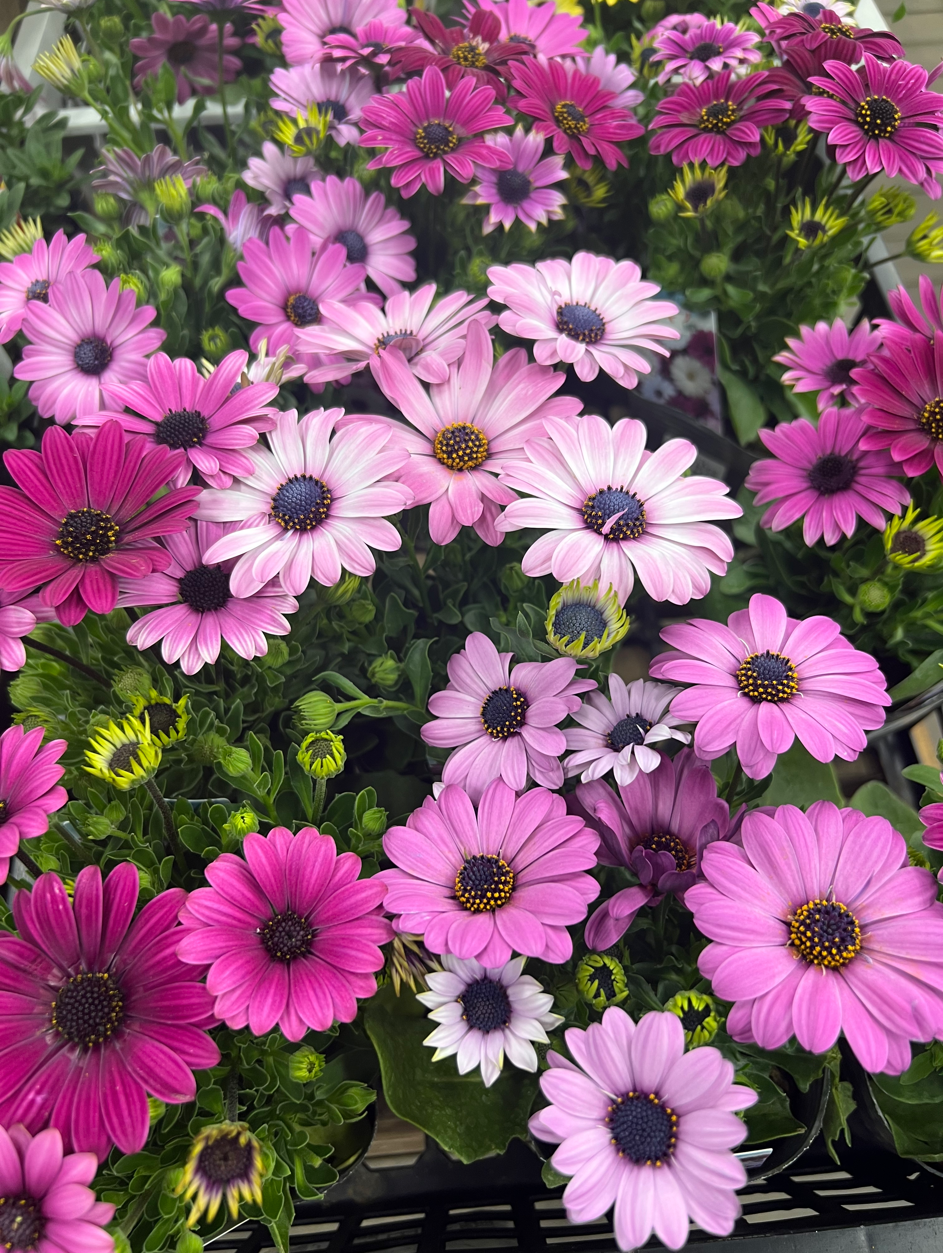 とっておきの春、夏、秋、冬