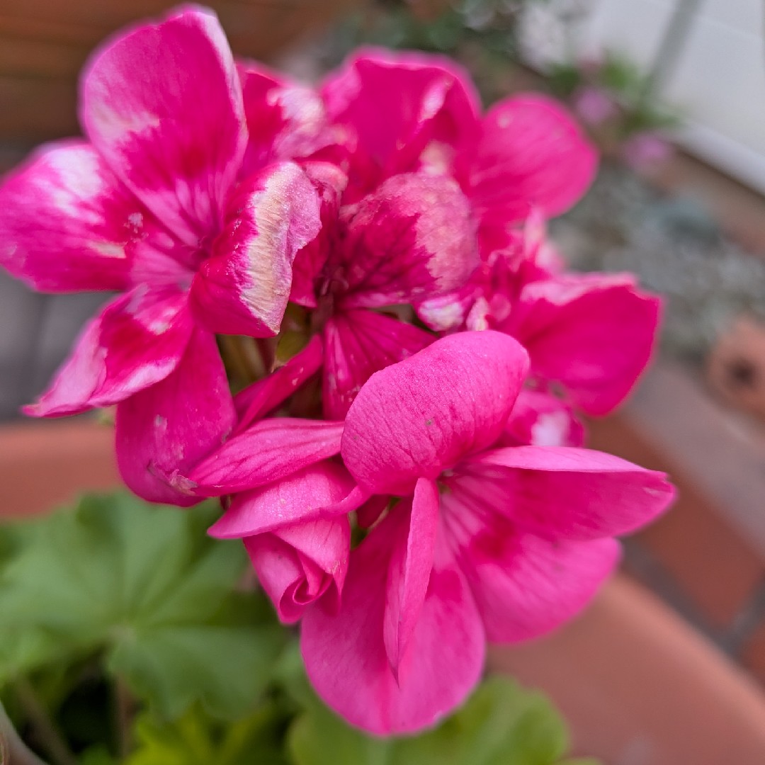 テーマ　春についての楽曲制作をお願いします