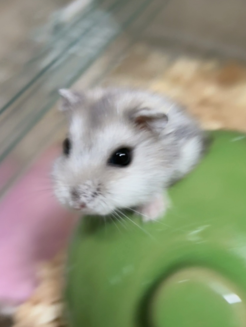 我が子こそは1番！自慢の1枚