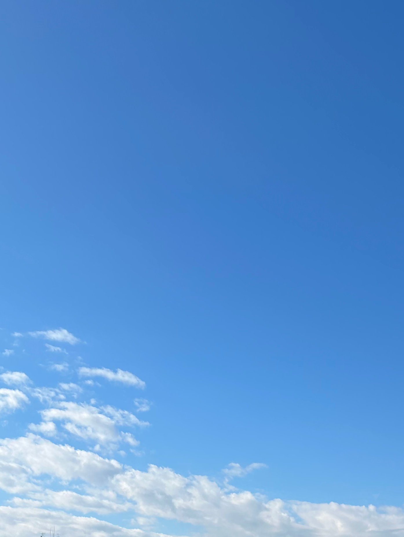 🌸花より社畜🌸