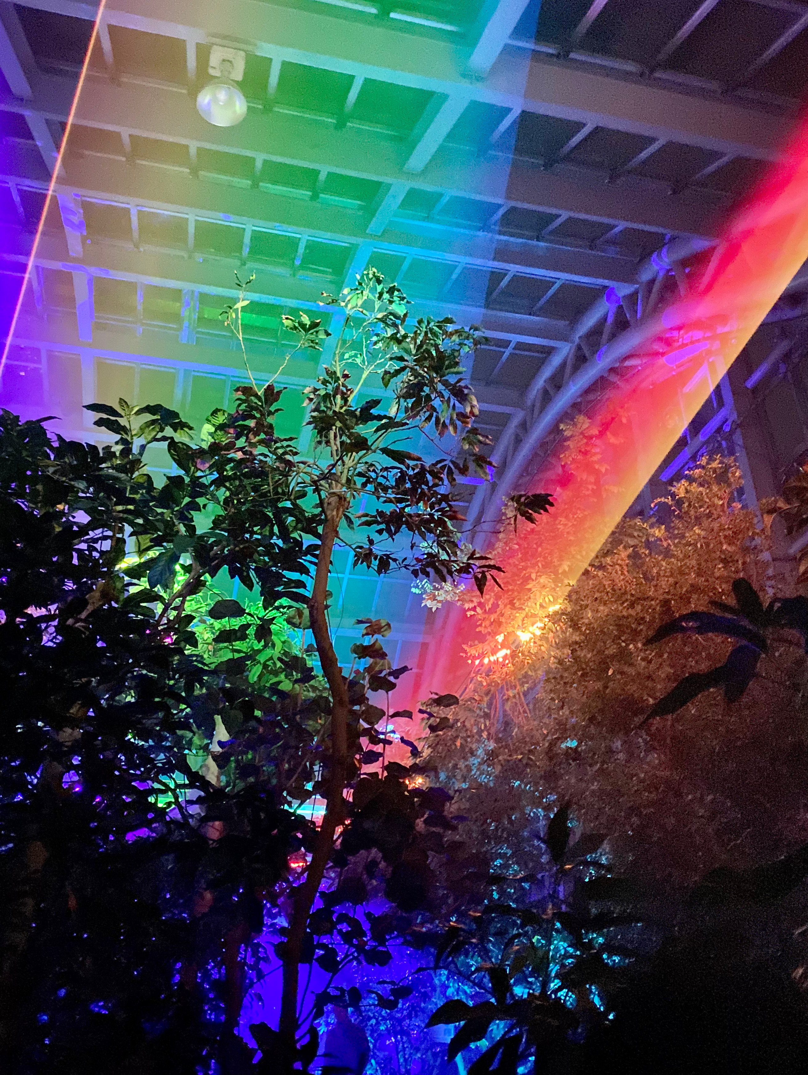 ✨ビバ流れ星💫