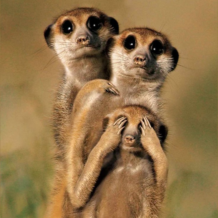 写真でひとこと