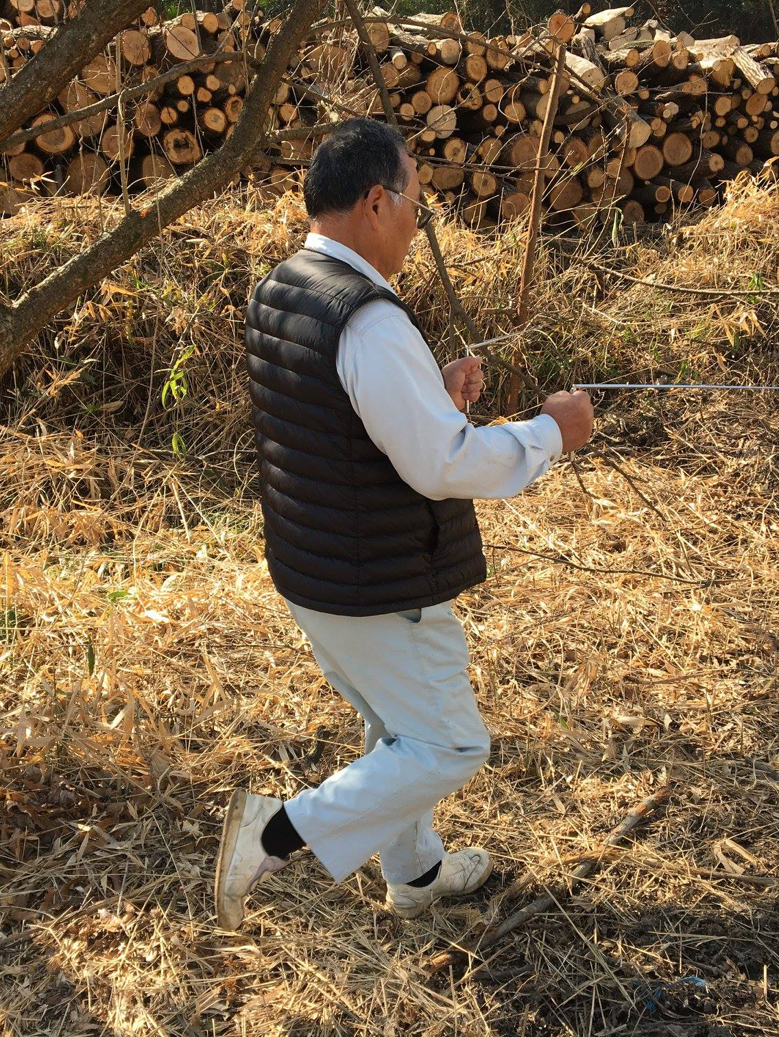 ダウジングオフ会