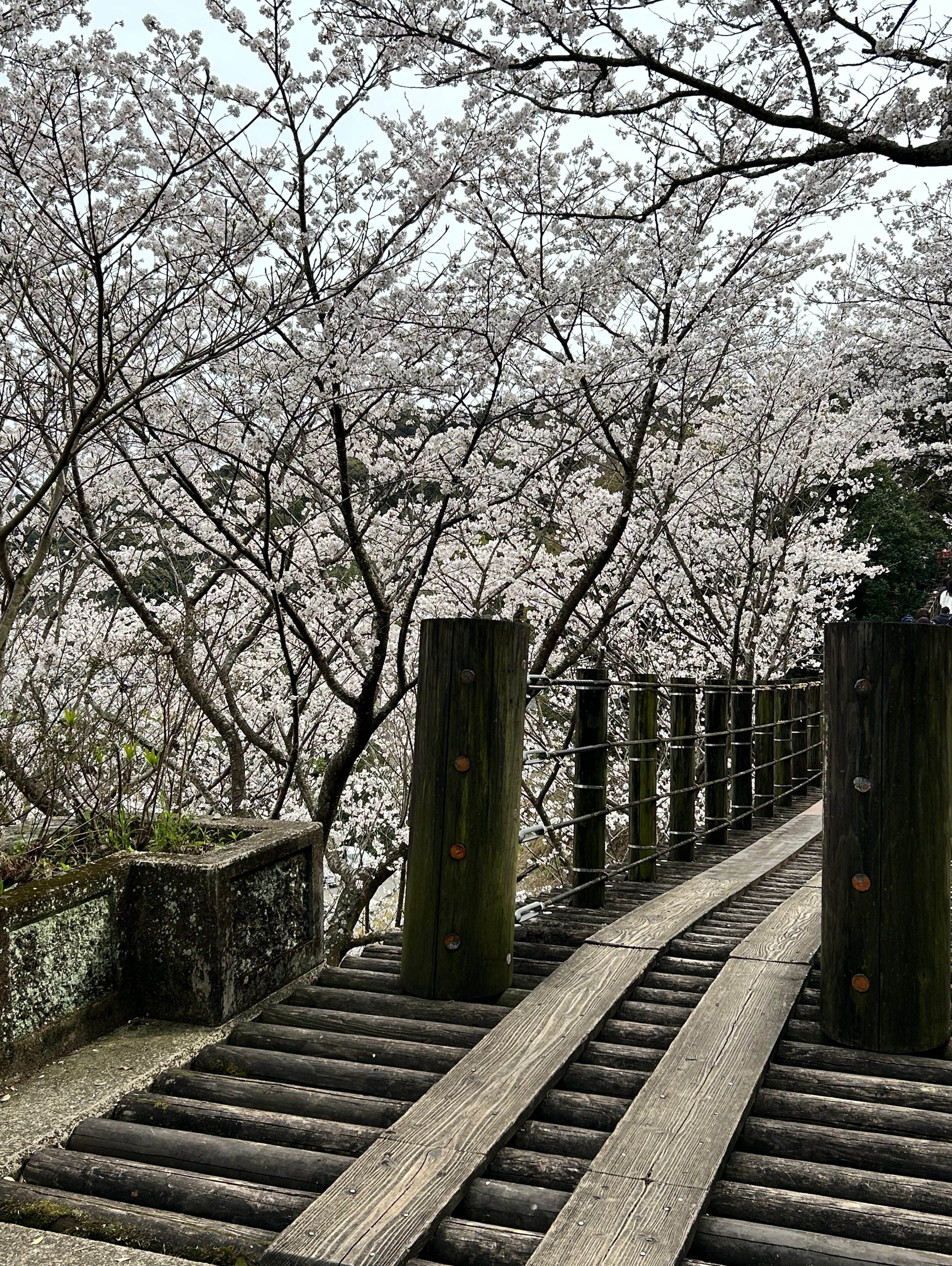 今年度の目標は？？