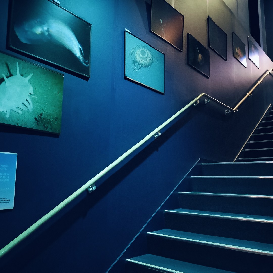 第2階 階段祭り