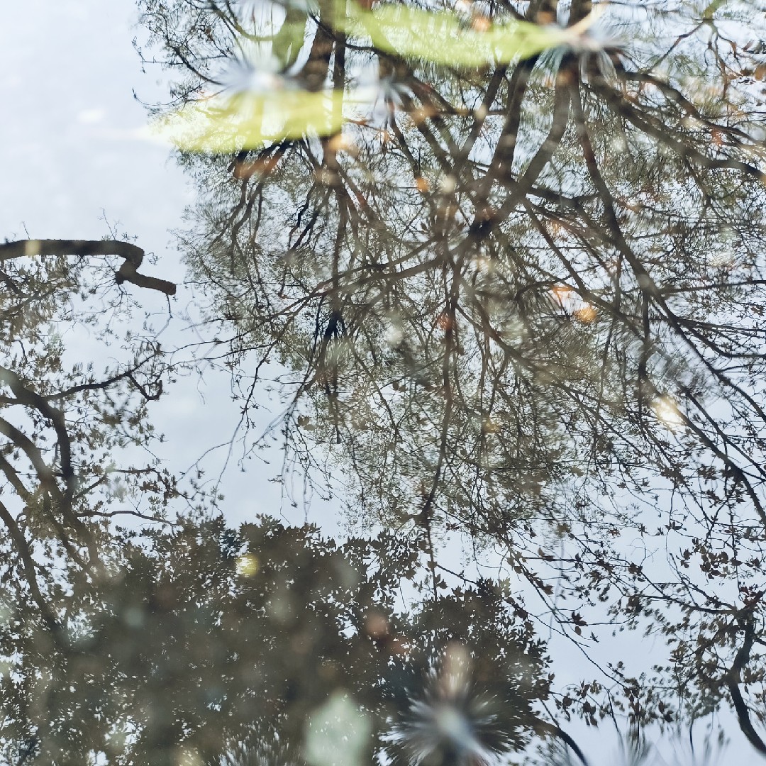 第1回  水溜まりを集めよう