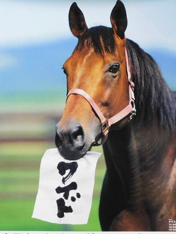 第2回ワイドチャンピオン👑決定戦 桜花賞