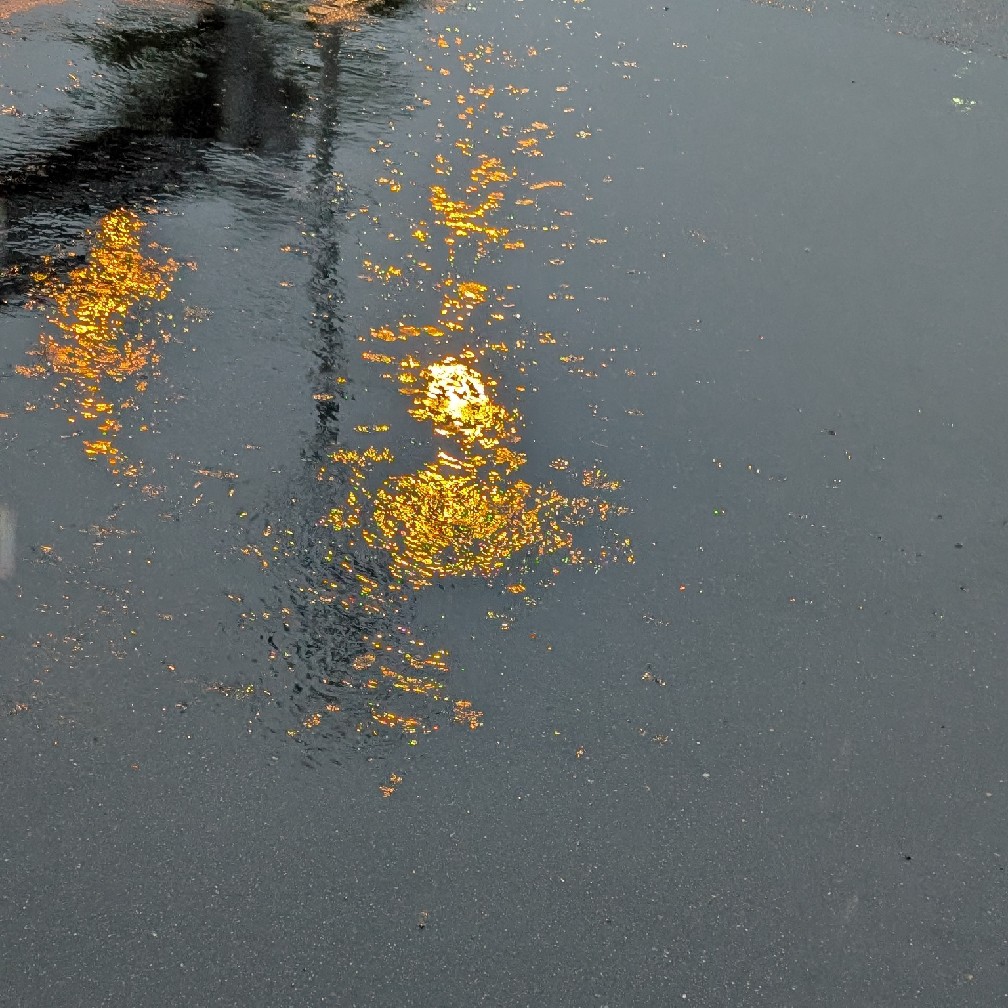 雨散歩
