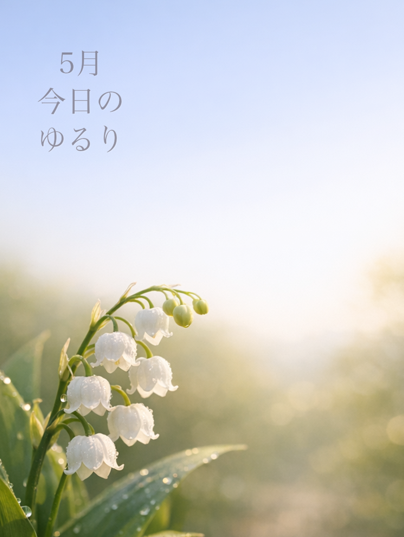 𓍯 今日のゆるり（5月）