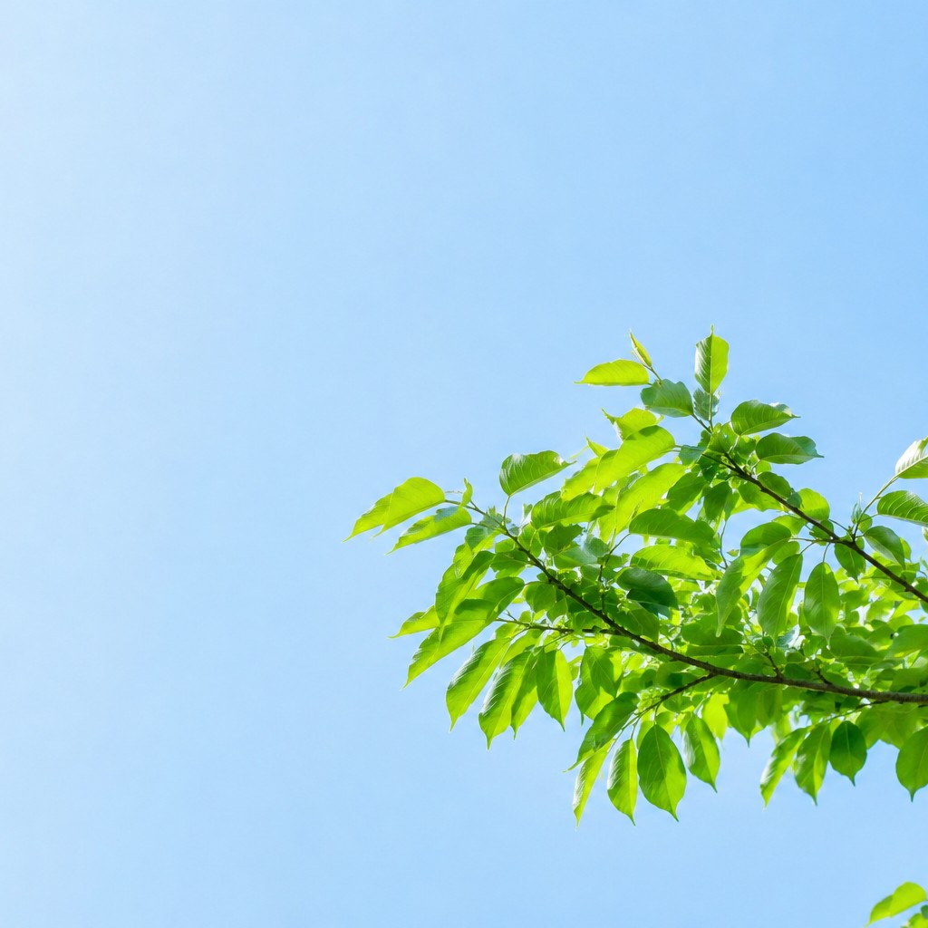 初夏を感じる景色や植物をシェアしよう🌿.∘