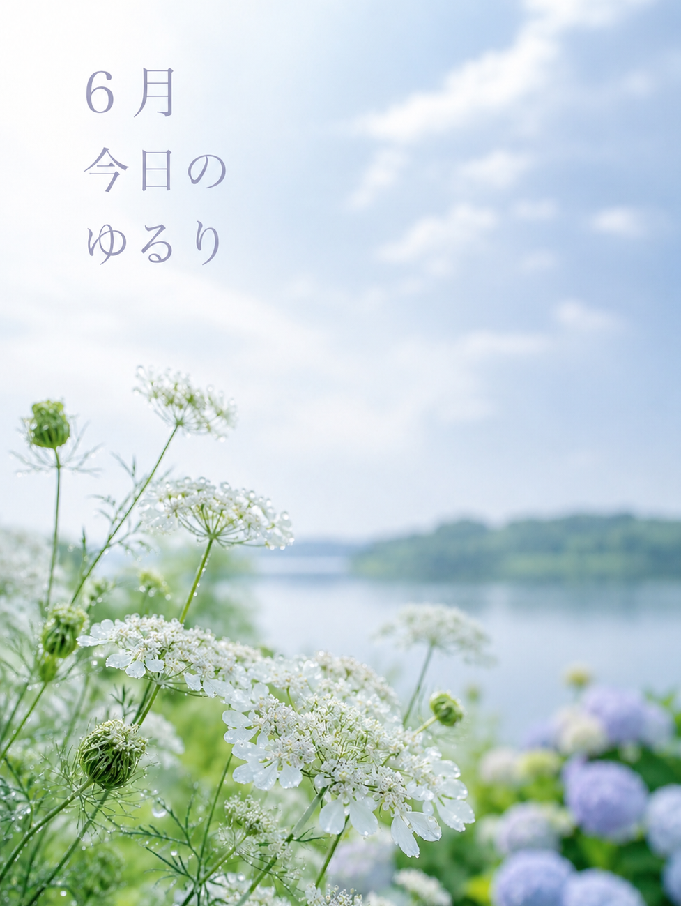 🫧今日のゆるり（6月）