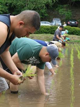 田植え体験オフ会